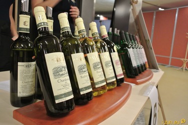 IKI – iZUN koštovací inspekce!